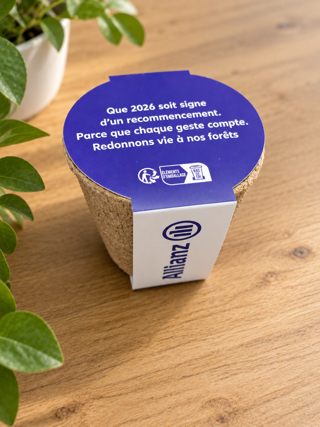 Kit de plantation pour cadeau entreprise