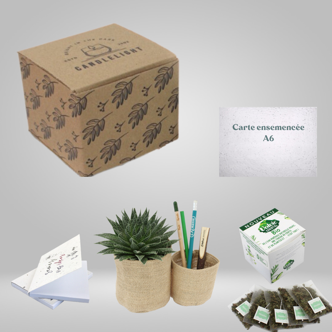 Plante personnalisée de bureau avec support en bois | Goodies bureau  écologiques | Génicado