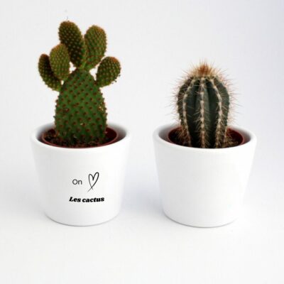 mini cactus publicitaire avec logo
