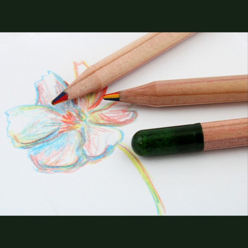 Crayon à graines mine colorée