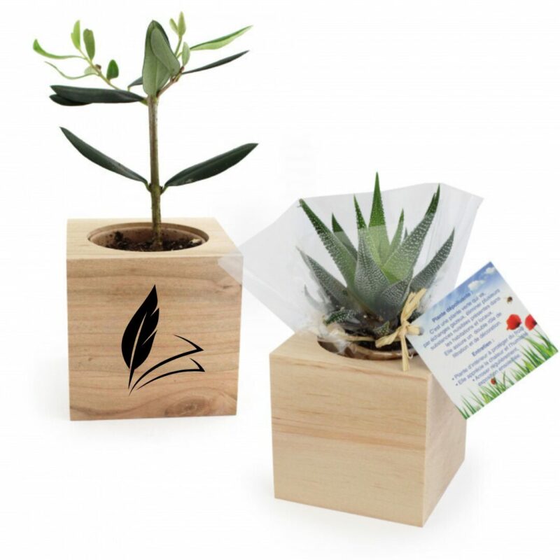 Cube bois plante ou arbre à personnaliser
