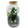 Terrarium haut de gamme personnalisé