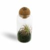 Terrarium boule avec logo entreprise