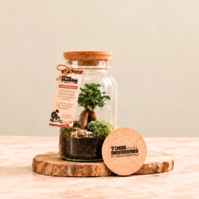 terrarium pour cadeau entreprise avec logo