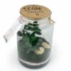 Terrarium pour entreprise avec logo