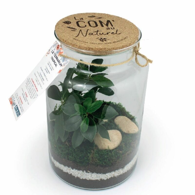Terrarium pour entreprise avec logo