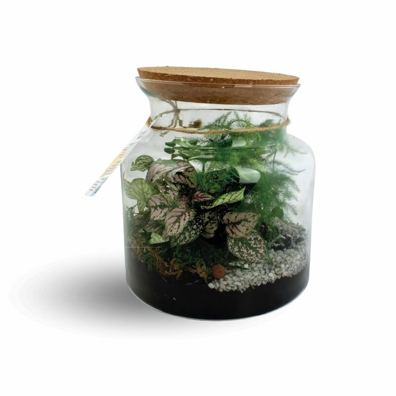 Terrarium publicitaire avec logo