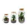 Terrarium petit moyen grand avec logo