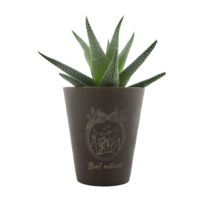 Petite plante pot en lin avec logo