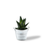 Petite plante pot zinc personnalisable