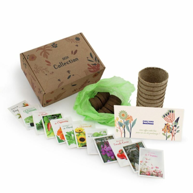 Box jardinage – Image 2