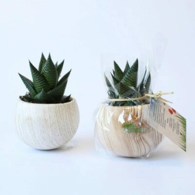 Plante pot aimanté avec logo
