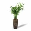 Plante pot en gobelet lin personnalisée