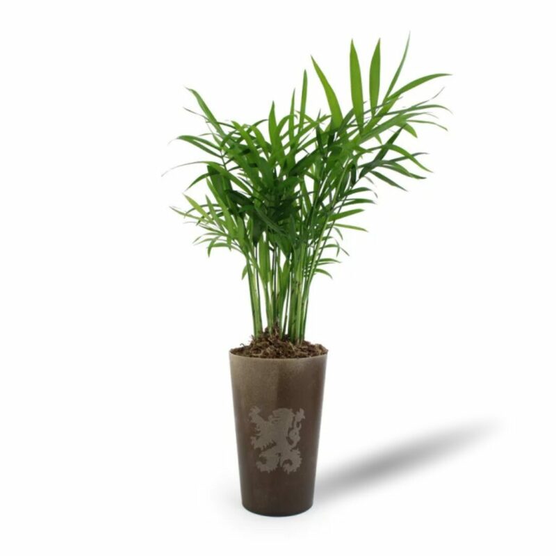 Plante pot en gobelet lin personnalisée