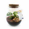 Terrarium personnalisé