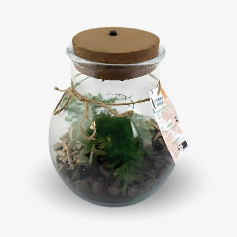Terrarium cadeau d'entreprise