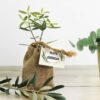 Plant d'arbre en pochon avec logo