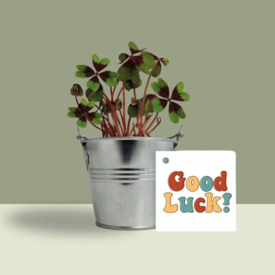 trefle a 4 feuilles avec logo