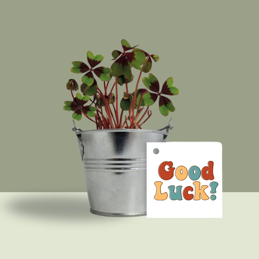 trefle a 4 feuilles avec logo