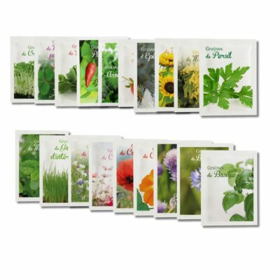 goodies écologique entreprise