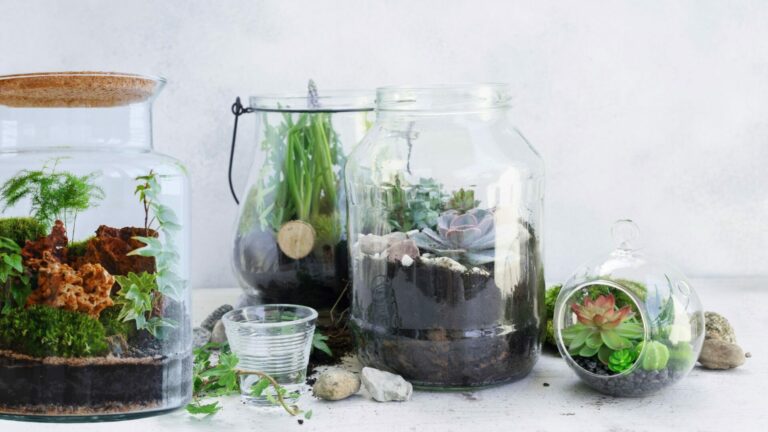 terrarium pour cadeau d affaires avec logo