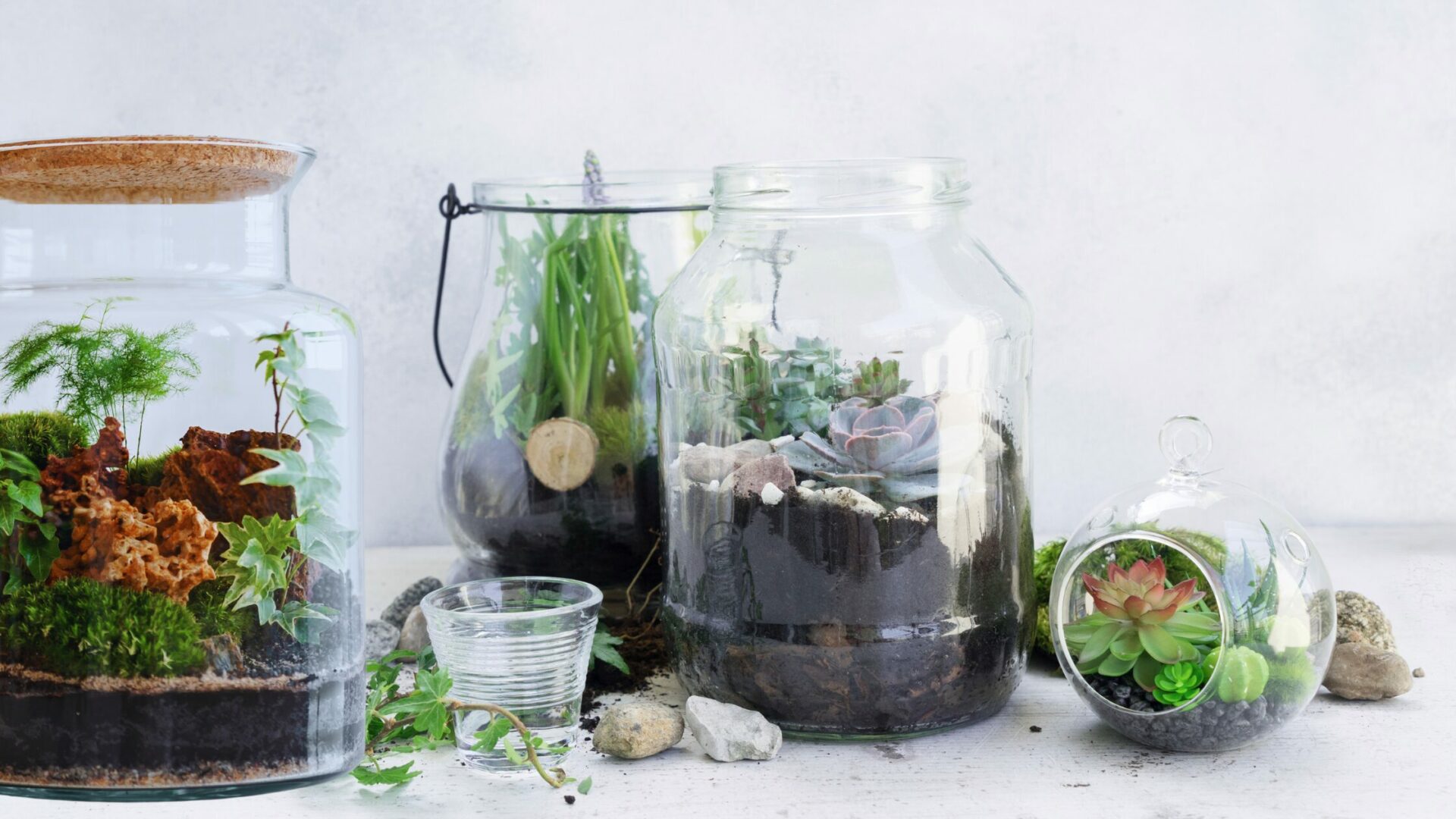 terrarium pour cadeau d affaires avec logo