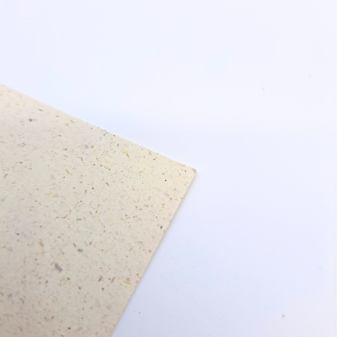 Papier tulipe recyclé – Image 2