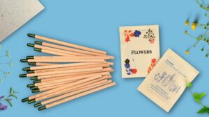 Cadeaux d’entreprise écologiques : sachets de graines, crayon à graines et kit de plantation