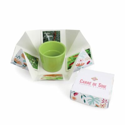 Kit de semis en boite surprise personnalisé avec pot et graines