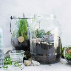 terrarium pour cadeau d affaires avec logo